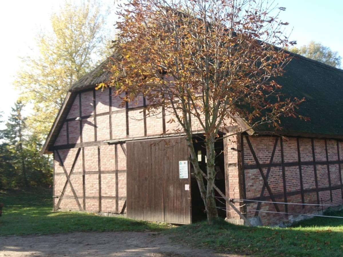Reiterhof Gross Stubben Apartment Poseritz Exterior photo